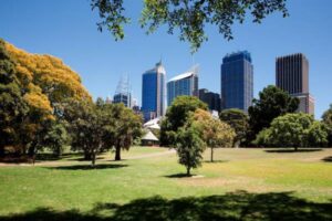 Why Hire a Buyer's Agent in Sydney Eastern Suburbs for Property Investment